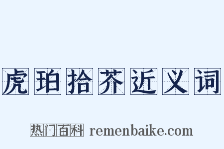 虎珀拾芥近义词是什么意思的图片